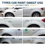 Types of Car Paint Damage in Milwaukee