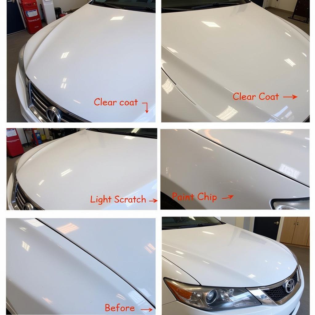 Types of Car Paint Damage in Pennsauken, NJ