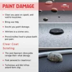 Types of Car Paint Damage in Penrith