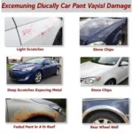 Types of Car Paint Damage in Victoria