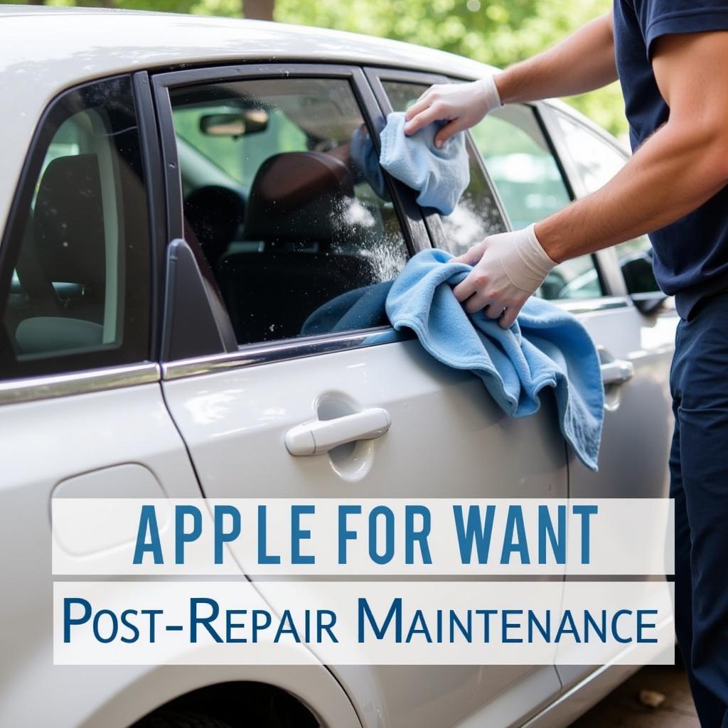 Car Paint Maintenance