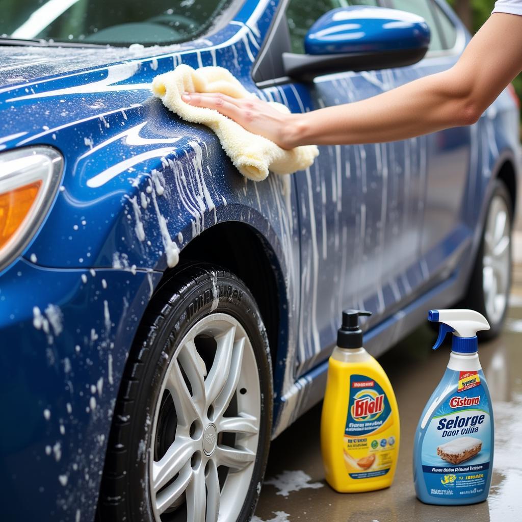 Maintaining Your Car's Paint Job in San Diego