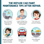 Car Paint Maintenance Tips After Repair Infographic