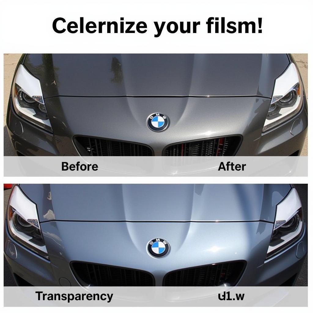 Car Paint Protection Film Application