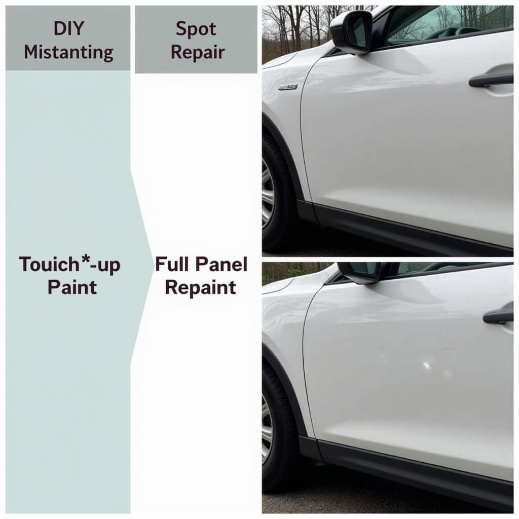 Car Paint Repair Options Comparison