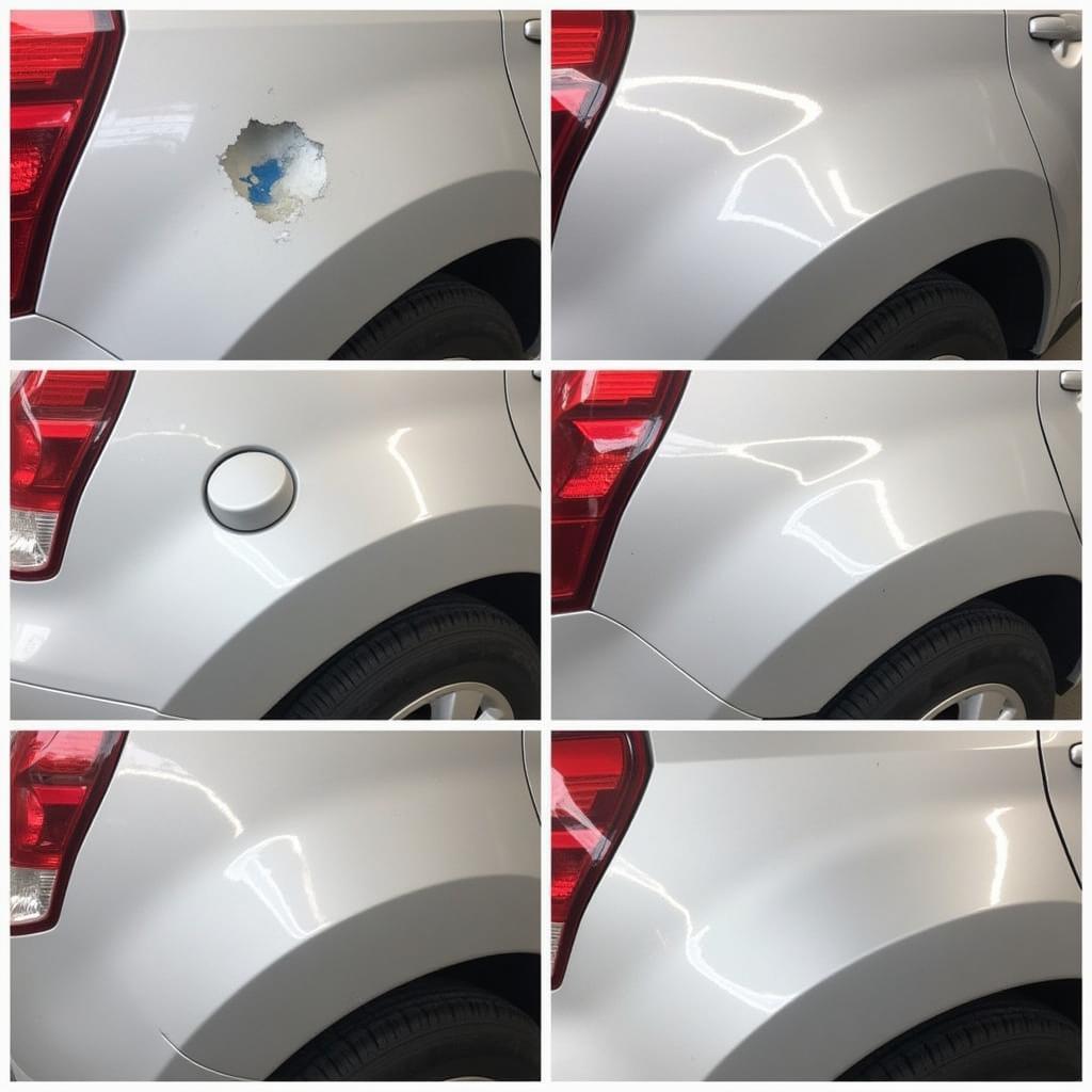 Car Paint Repair Process for Bird Dropping Damage