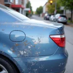 Car Paint Repair Types in Vancouver