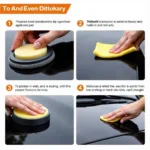 Applying Car Wax for Paint Protection