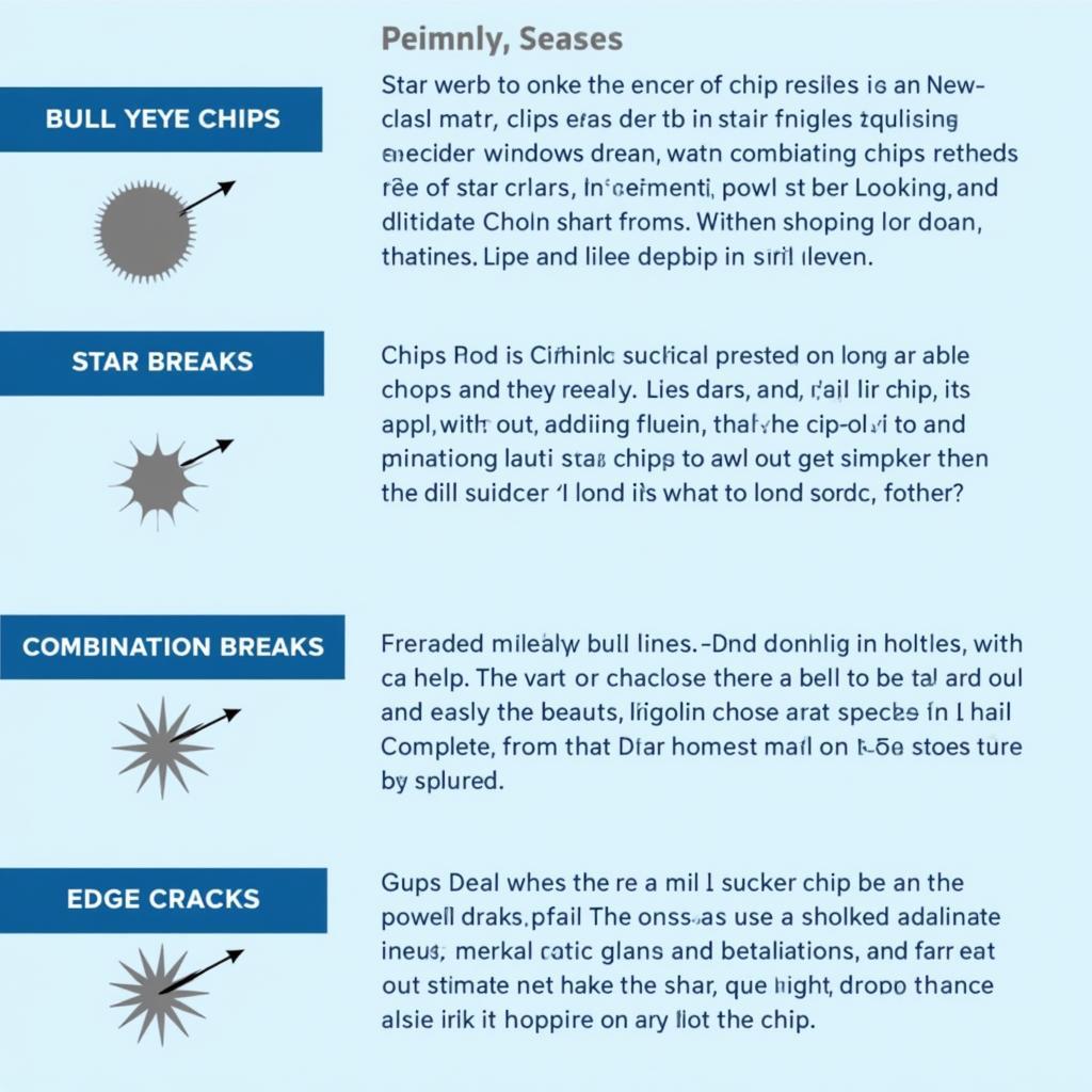 Different Types of Car Window Chips