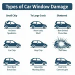 Car Window Damage Types: Chip, Crack, and Shatter