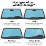 Types of Car Window Damage in Bayside