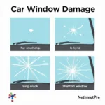 Car Window Damage Types in Hamilton