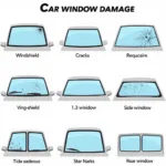 Types of Car Window Damage in Pembroke Pines