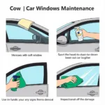 Tips for Maintaining Your Car Windows to Prevent Damage