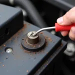 Checking Car Battery Terminals for Corrosion