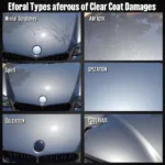 Types of Clear Coat Damage