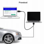 Diagnostic Tool Download Process