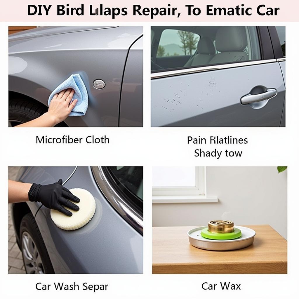 DIY Bird Dropping Damage Repair Process