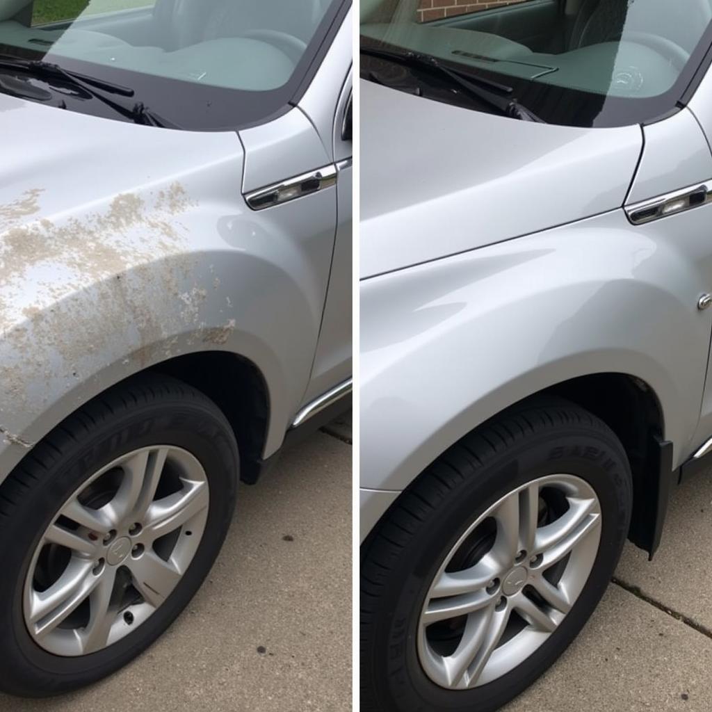 DIY vs Professional Car Paint Repair in Middlesbrough