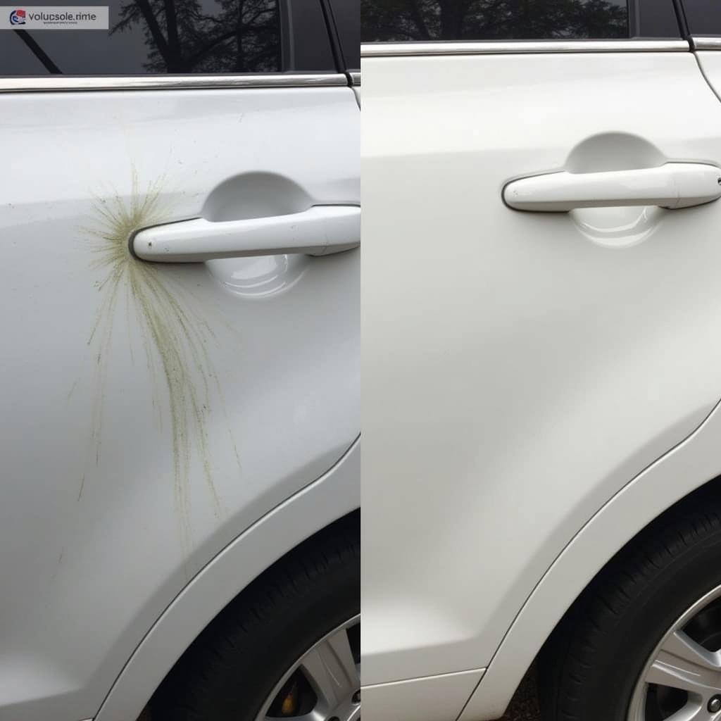 DIY vs. Professional Car Repair