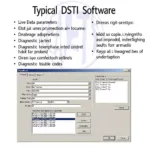 DSTI Software Interface