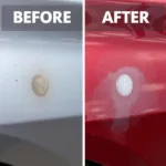 Egg Damage Car Paint Before and After