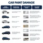 Types of Car Paint Damage in El Paso