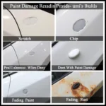 Types of Car Paint Damage in Flemington