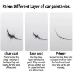 Types of Car Paint Scratches