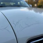 Minor Clear Coat Scratches on Car Hood