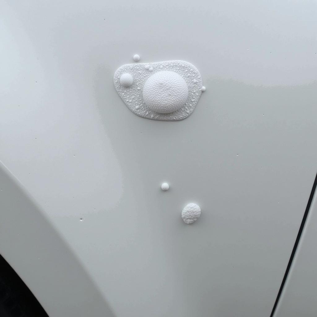 Moisture Bubbles on Car Paint