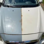 Example of Oxidized Car Paint