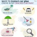 Car Paint Protection Methods