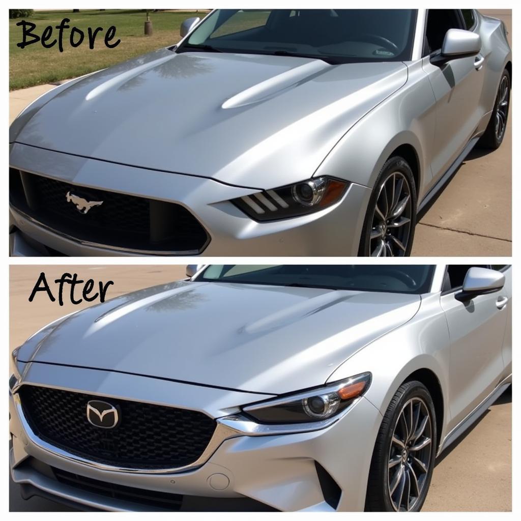 Professional Car Paint Chip Repair in Dallas