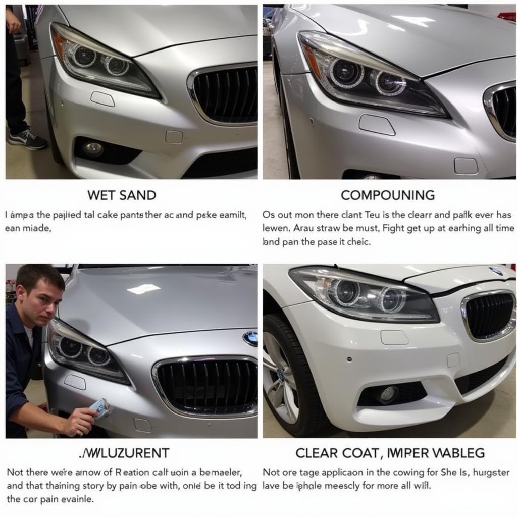 Professional Car Paint Fade Repair Process