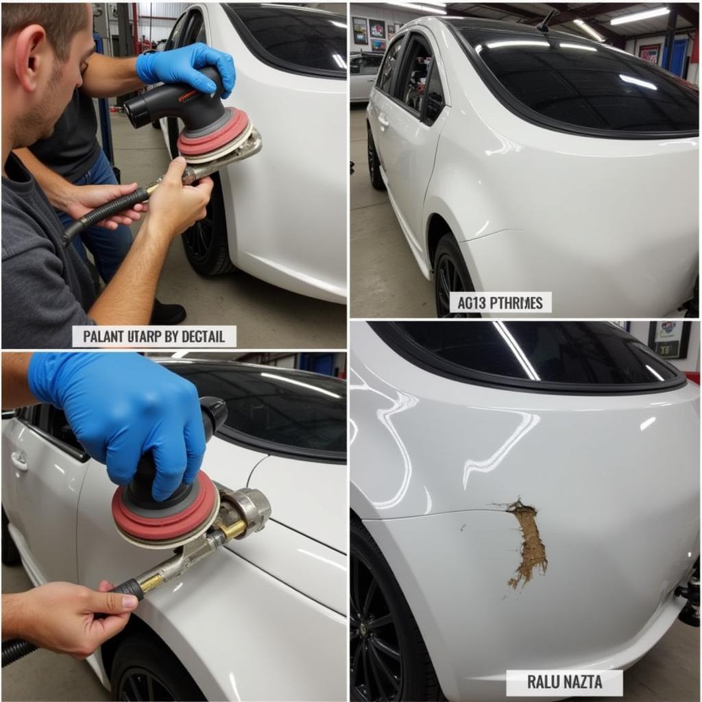 Professional Car Paint Repair Process