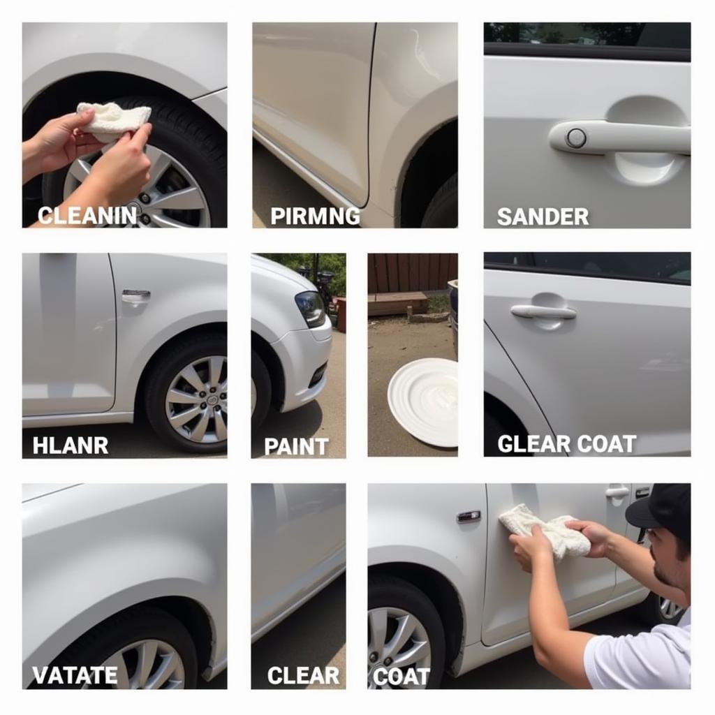 Professional Paint Chip Repair Process