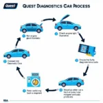 Quest Diagnostics Car Process Overview