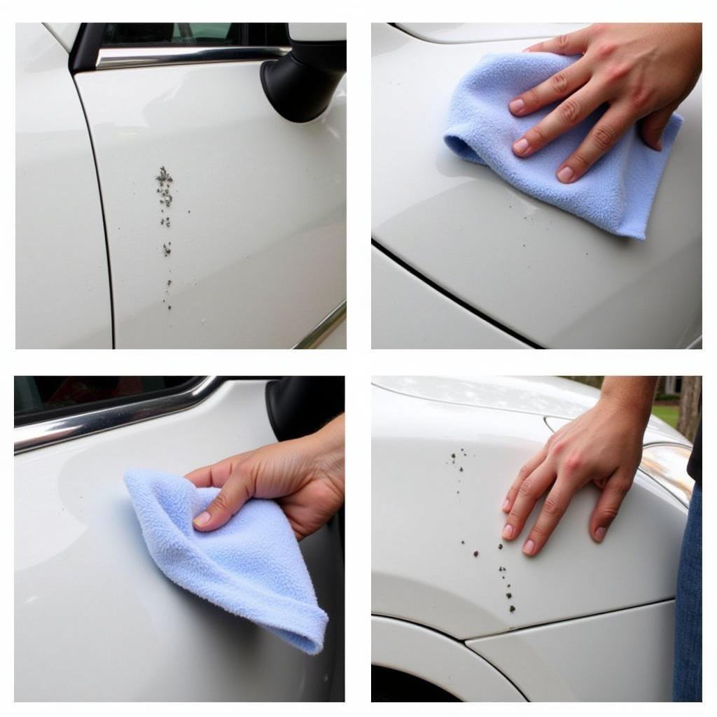 Process of safely removing bird droppings from a car using a microfiber cloth and water.