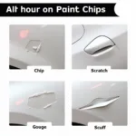 Types of Paint Chips on Car