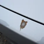 Close-up image of a road chip damaging car paint, showing the exposed metal underneath.