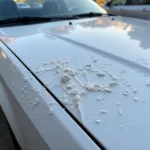 Rock chips damage car paint