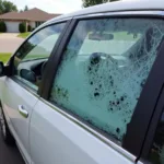 Side Car Window Damage in Anoka County