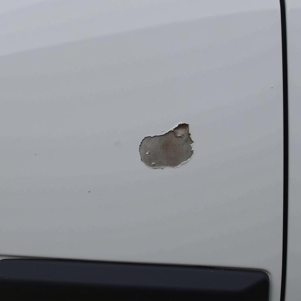 Small Paint Chip Repair on a Car Door