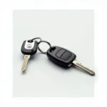 Spare Car Key and Key Fob on Key Ring