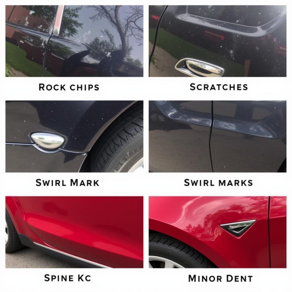 Common Tesla Paint Damage Examples