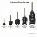 Different Types of Toyota Car Keys