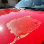 UV Damage on Car Paint