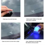 Windshield Chip Repair Process