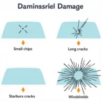 Types of Windshield Damage: Chips, Cracks, and Shatters